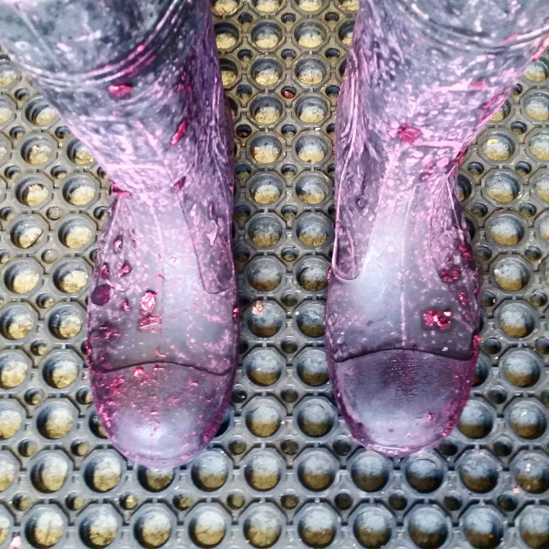 Rubber boots covered in grapes
