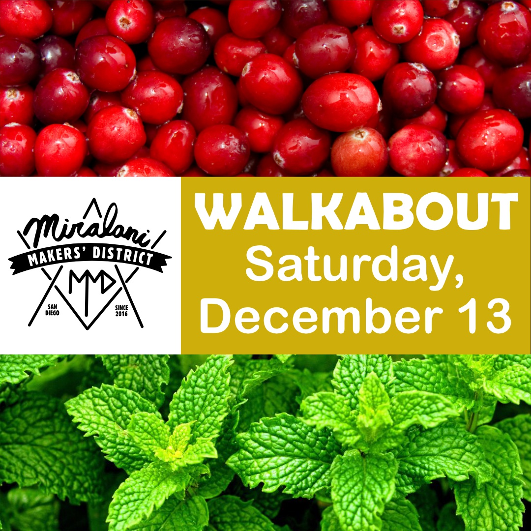 December 13 Cranberry and Peppermint Walkabout